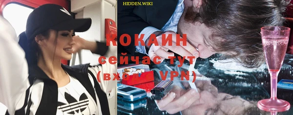 шишки Абдулино