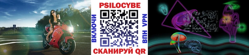 Галлюциногенные грибы мицелий  МЕГА ТОР  Тавда  цены наркотик 